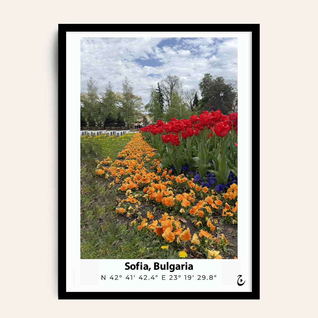 Sofia in Bloom framed wall art by Vajwala