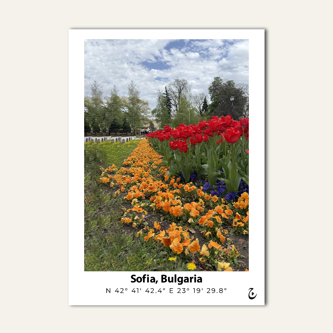 Sofia in Bloom
