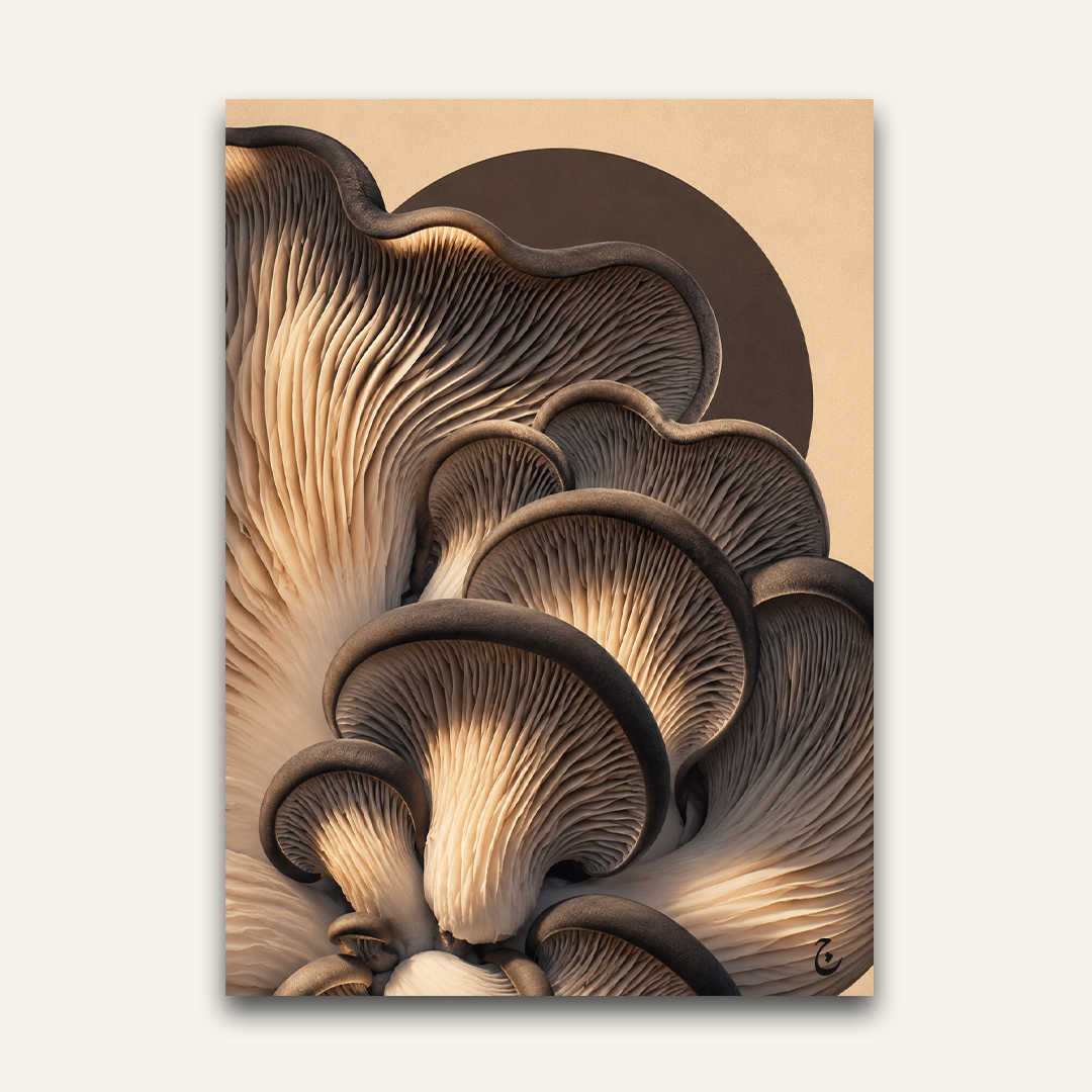 Folded Gills
