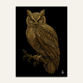 Nocturne in Gold