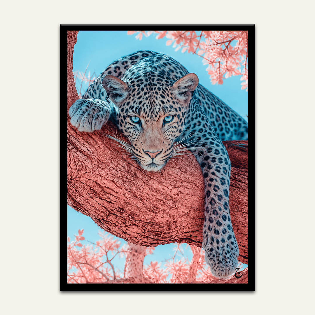 Coral Branch