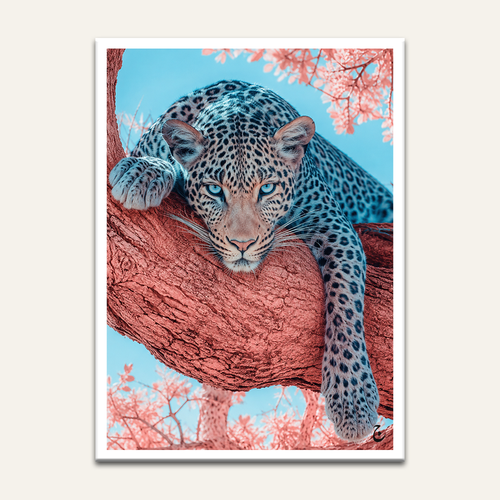 Coral Branch