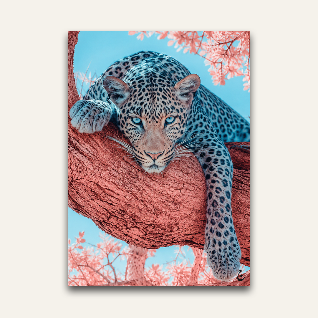 Coral Branch
